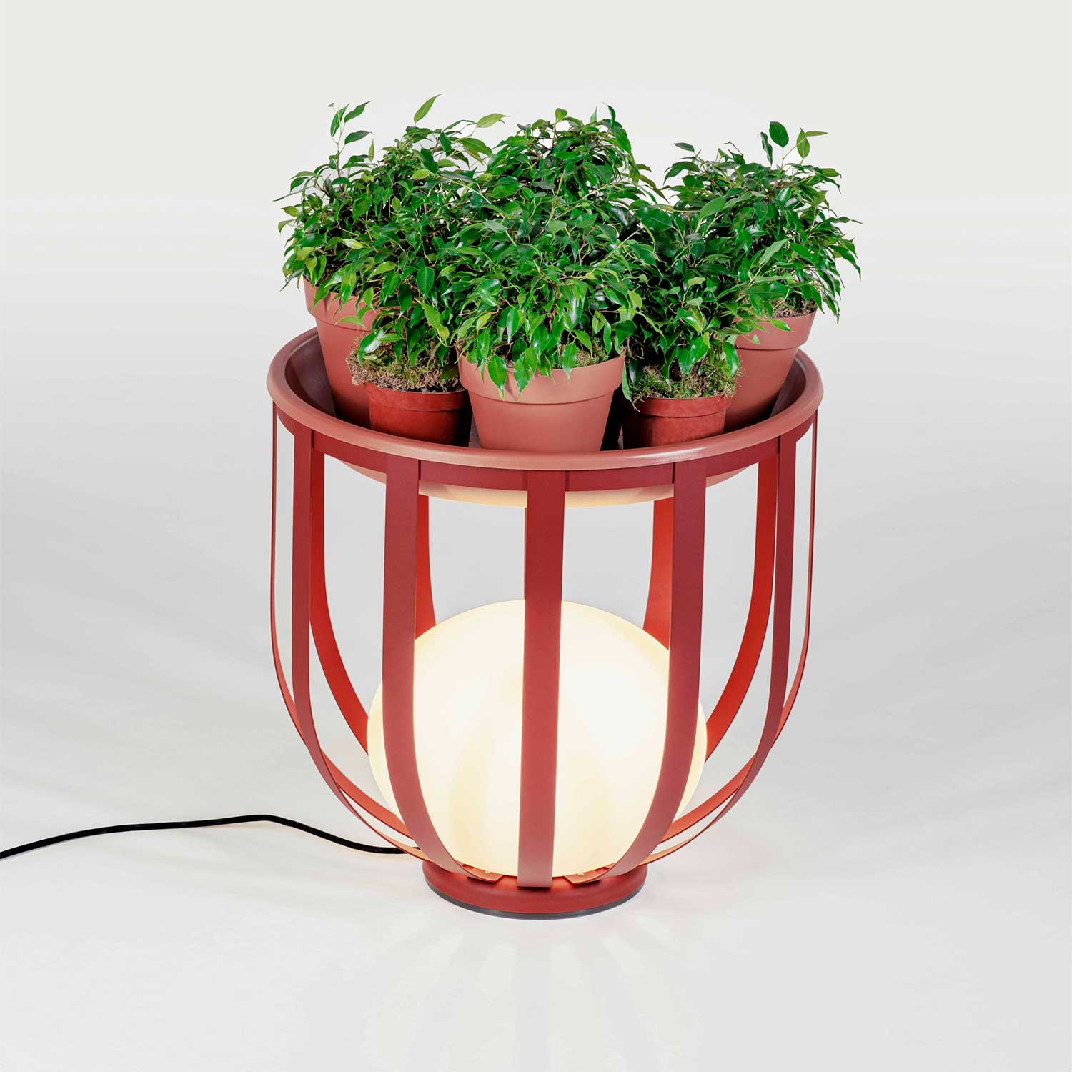 Image du produit 18