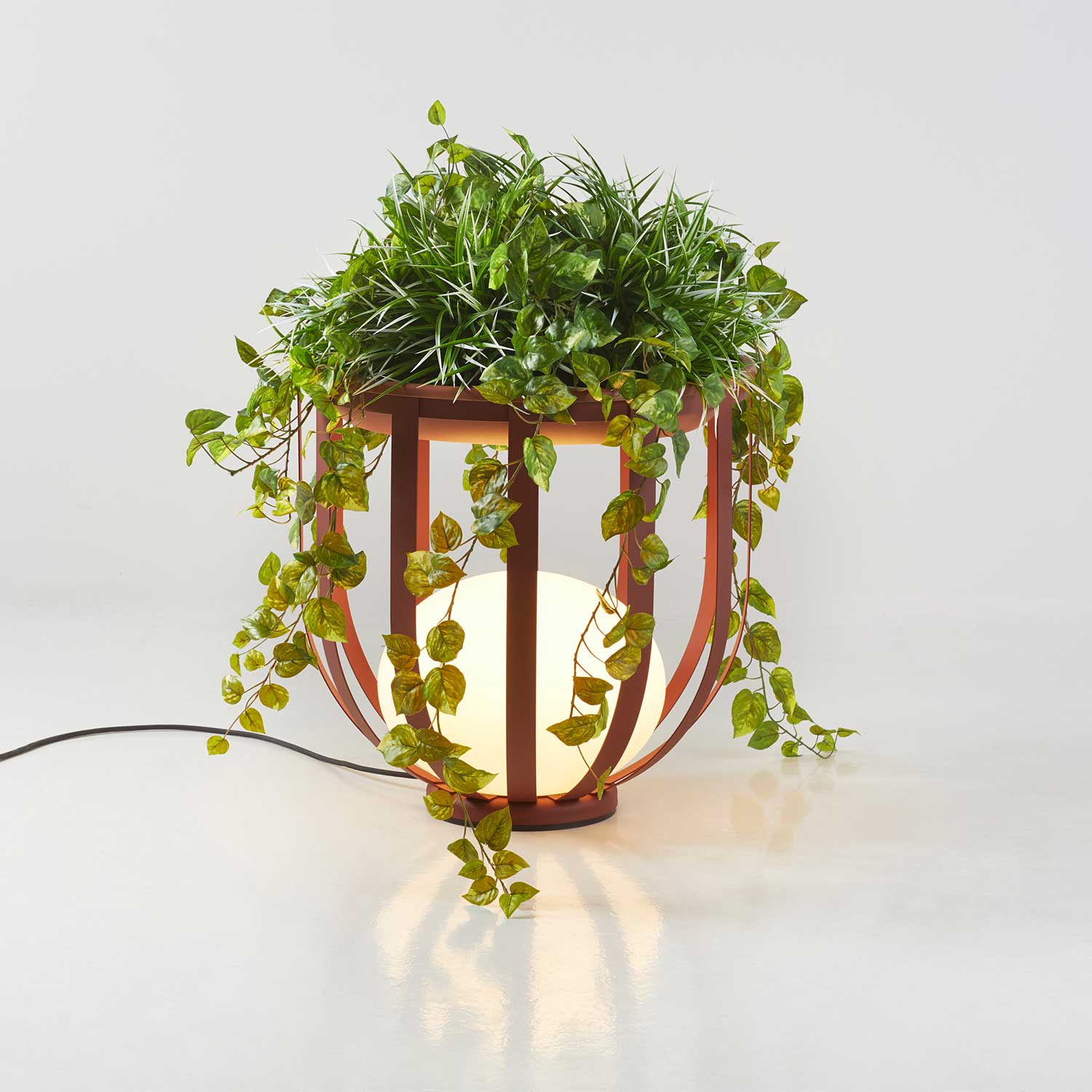 Image du produit 19