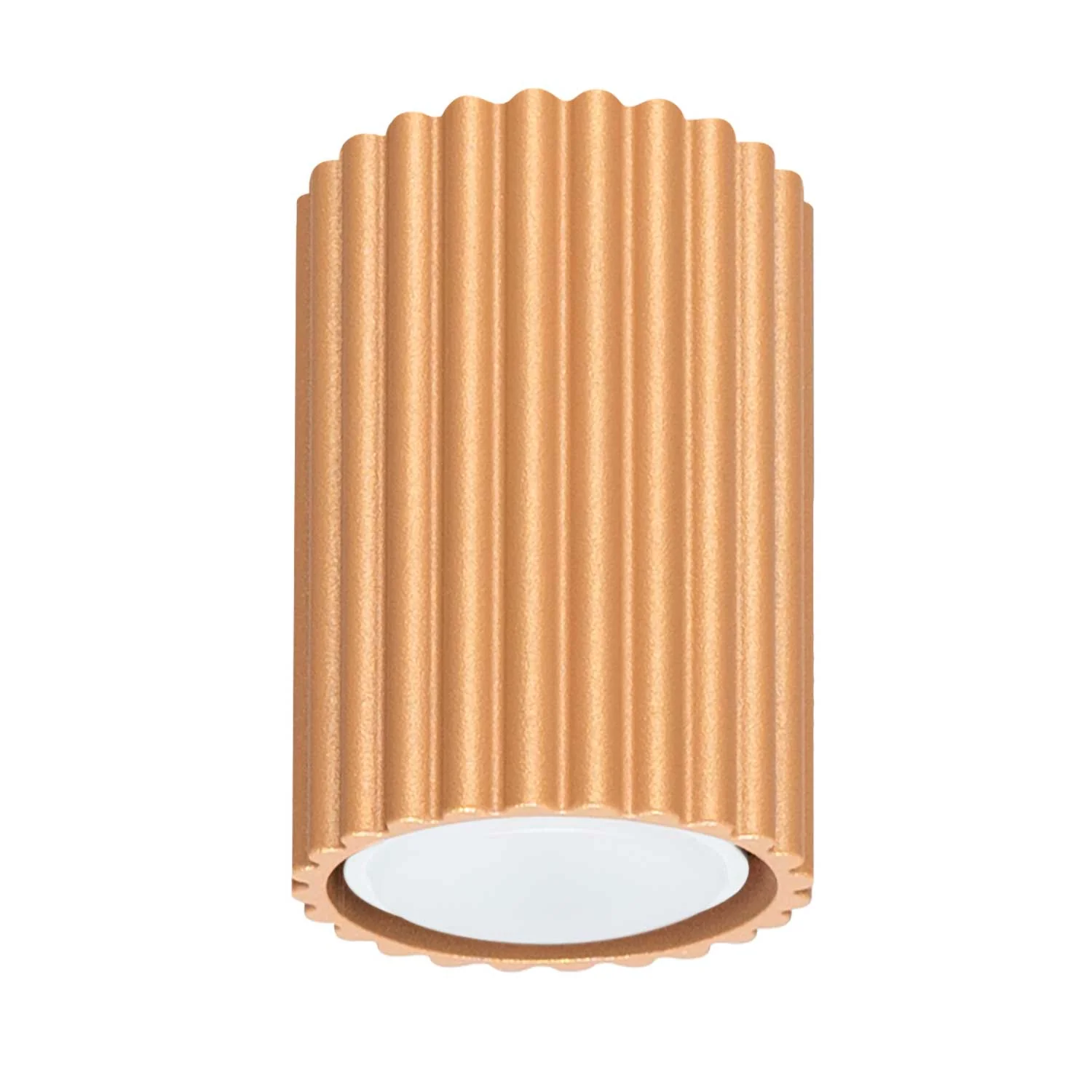 Image du produit 15