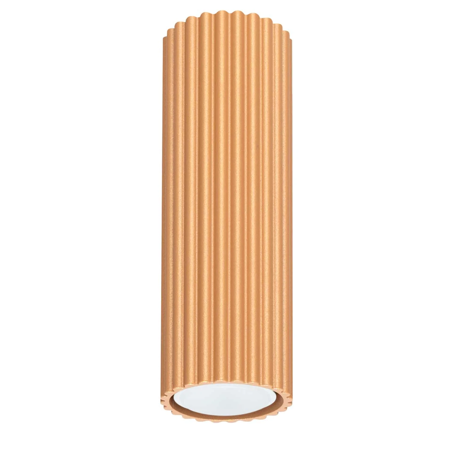 Image du produit 16