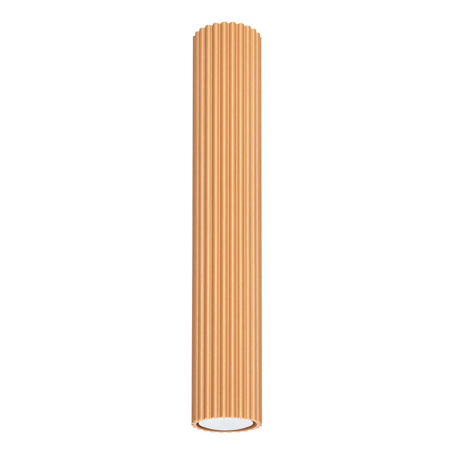Image du produit 18