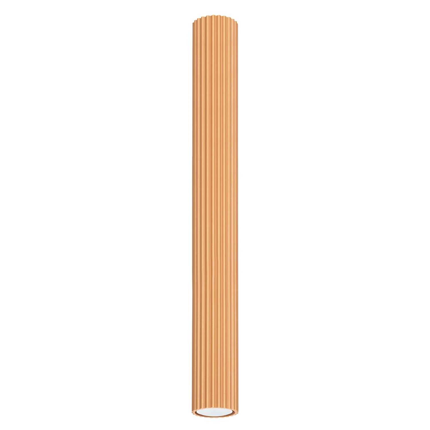 Image du produit 19