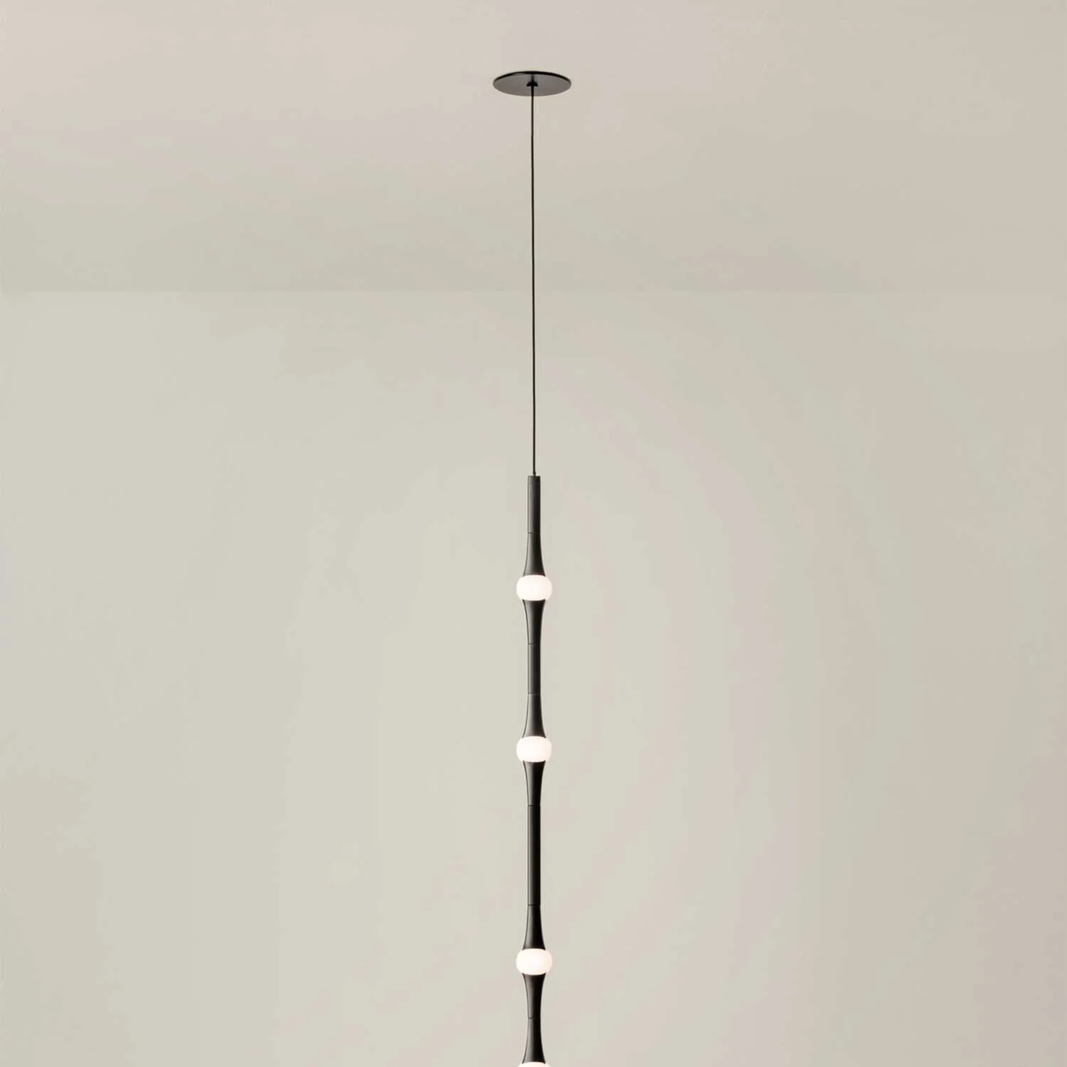 Image du produit 19