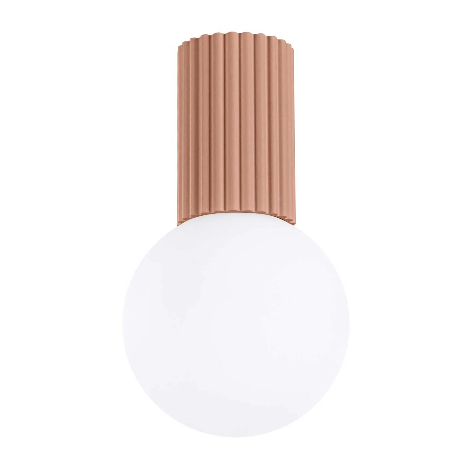 Image du produit 15