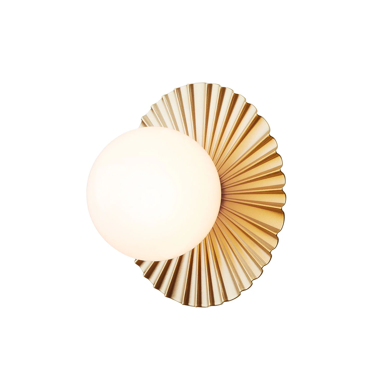 Image du produit 12