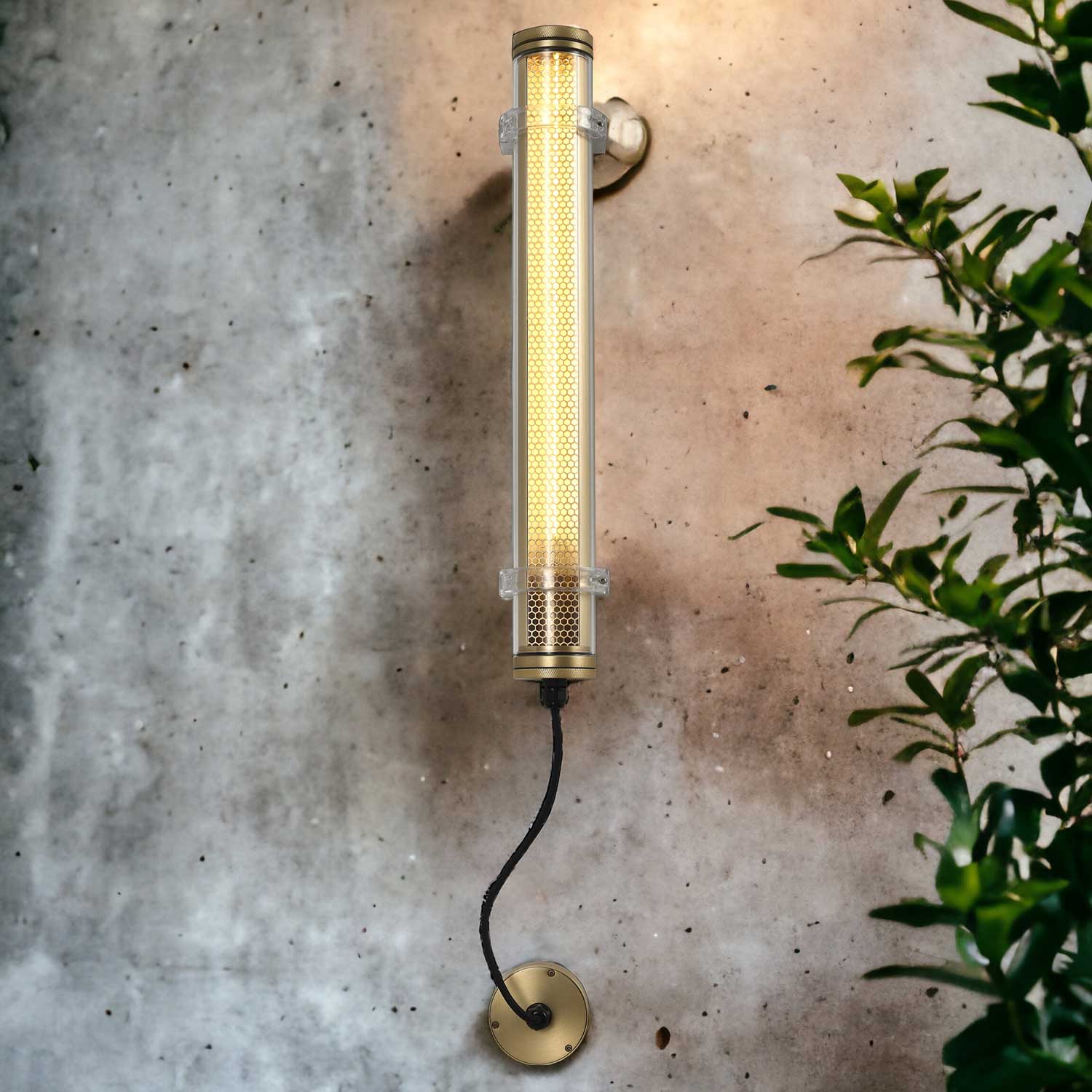 Image du produit 12