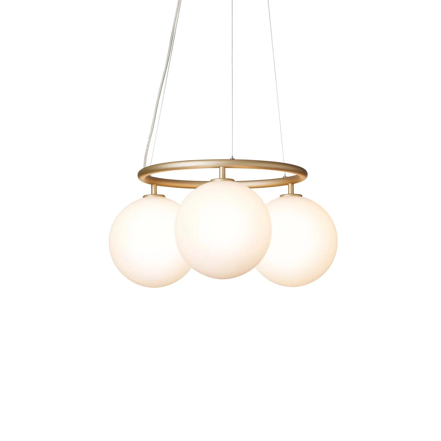 Image du produit 15
