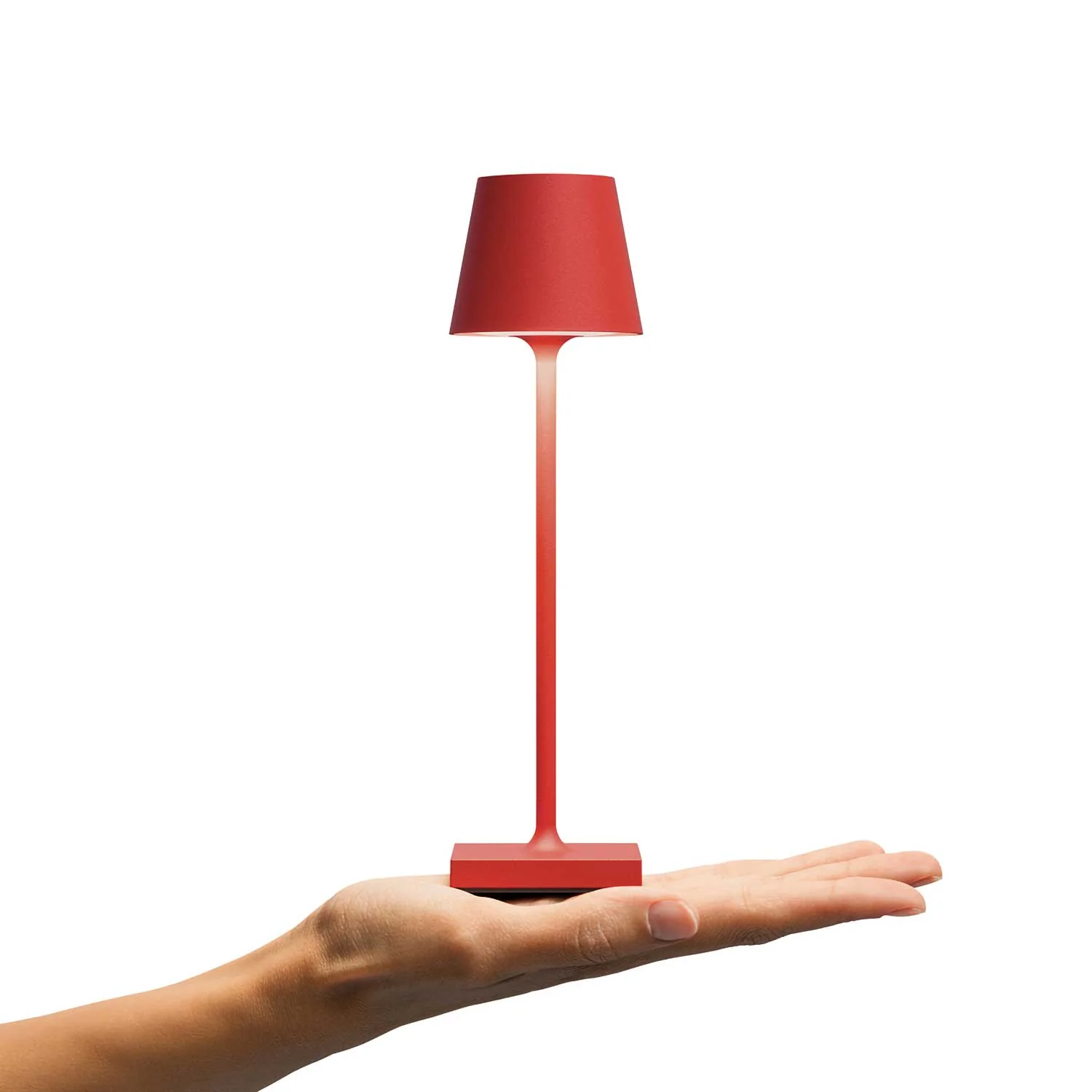 Image du produit 12