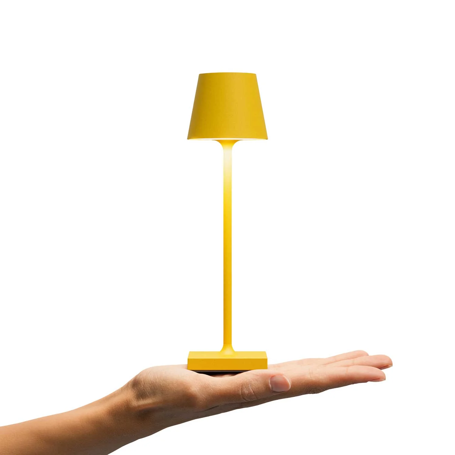 Image du produit 14