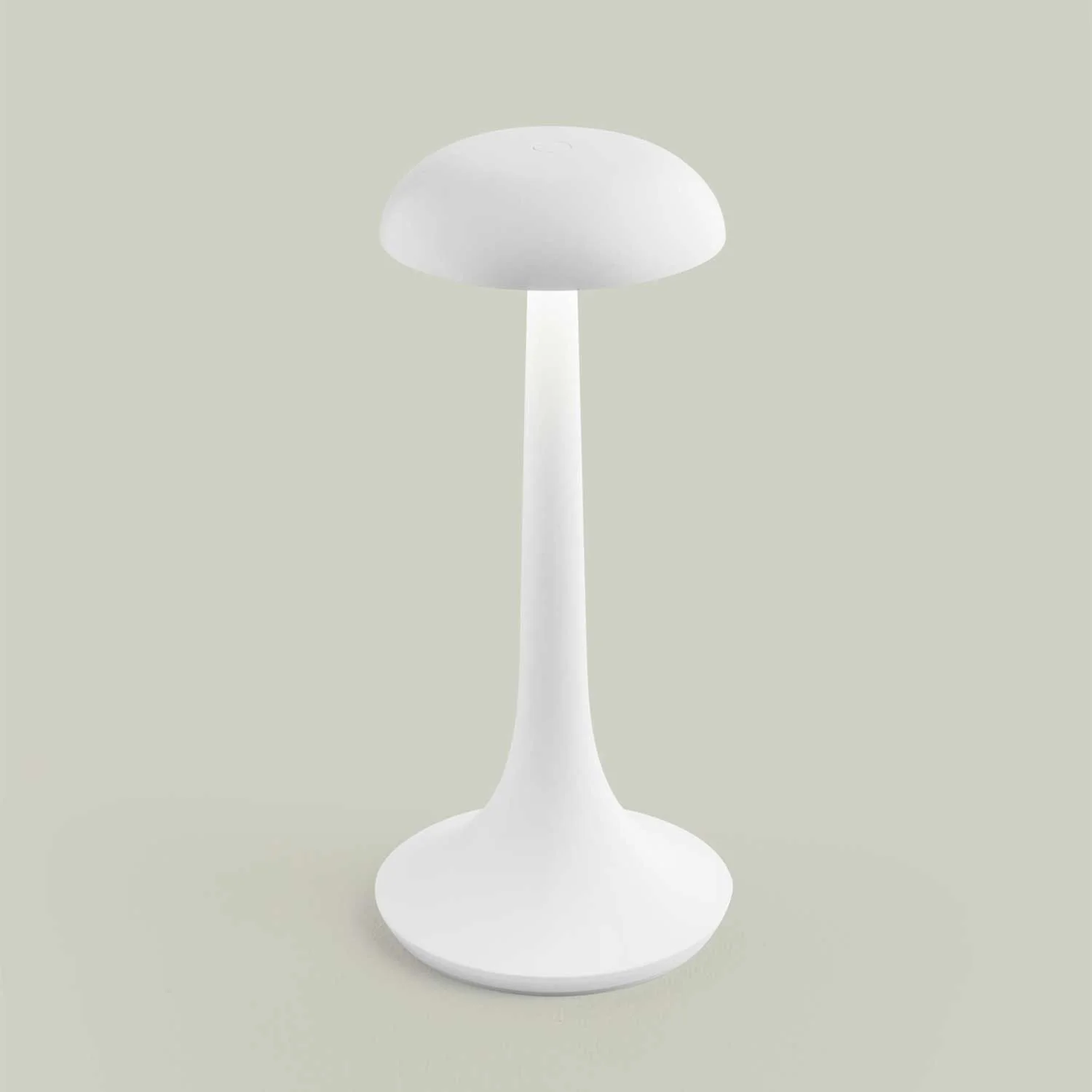 Image du produit 13