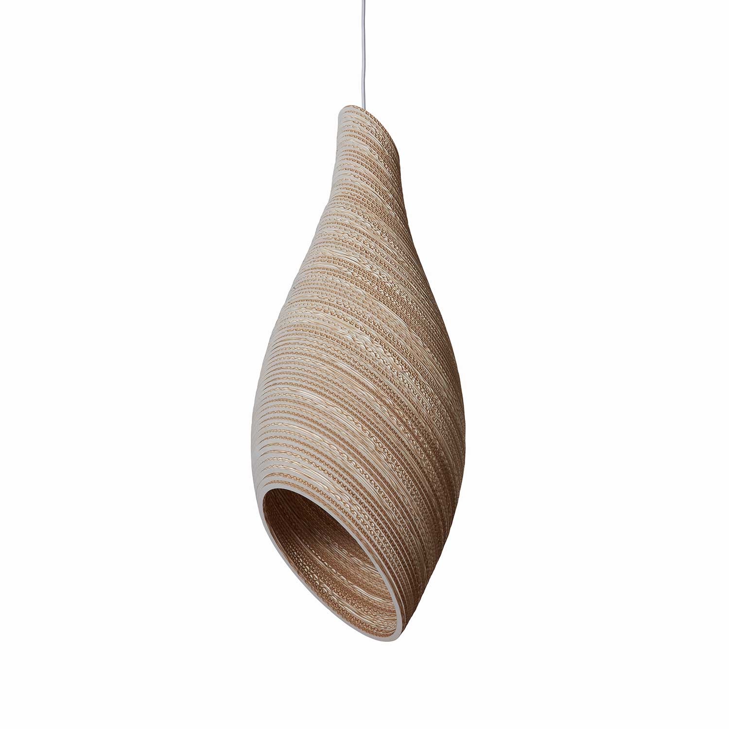 Image du produit 12