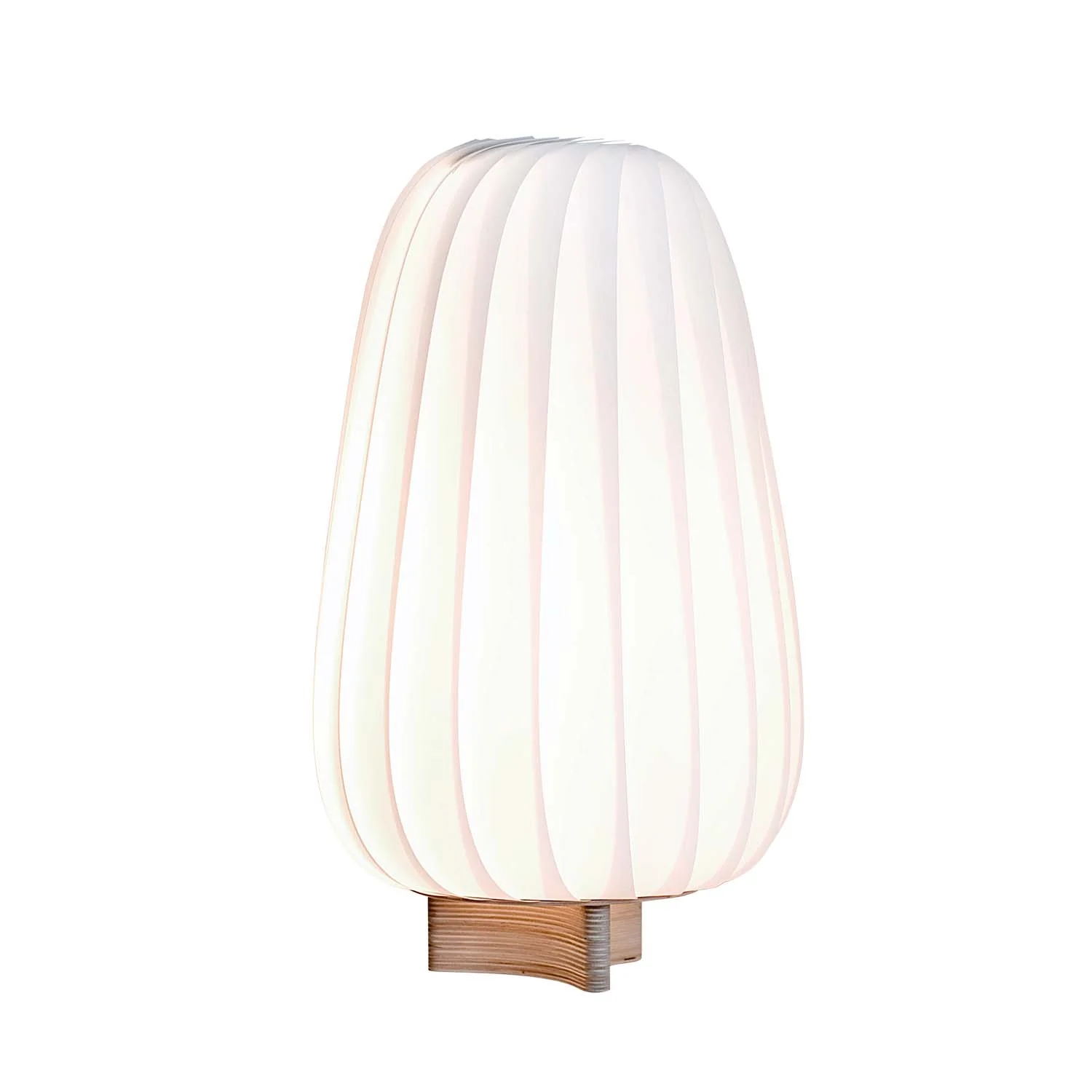 Image du produit 13
